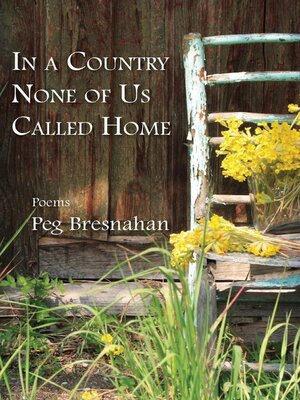 cover image of In a country none of us called home